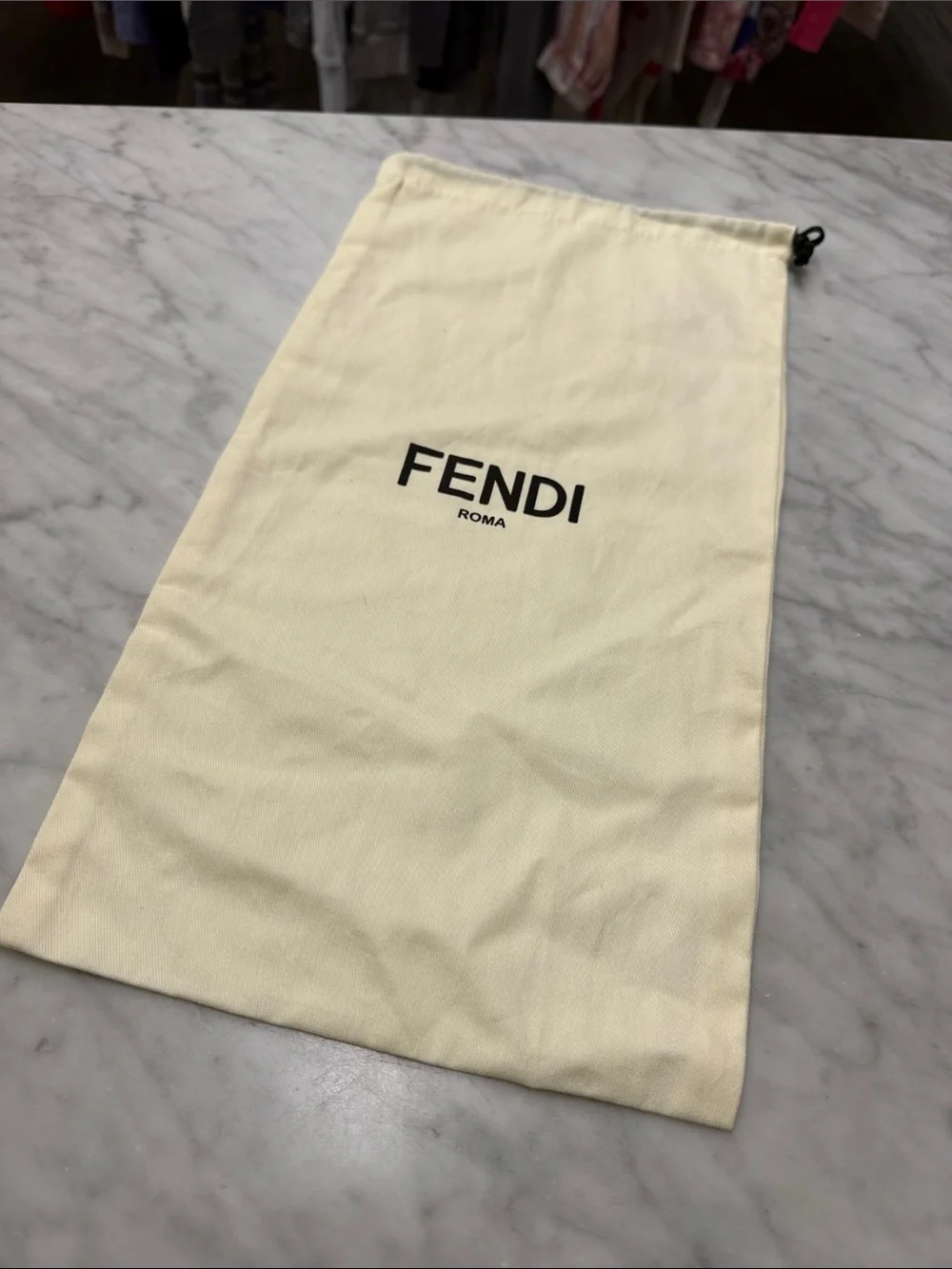 FENDI Designer Storage Bag Shoe Storage Sleeper Bag